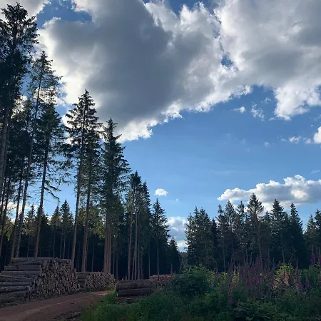Fafewo Mit Sternekomfort In Harz