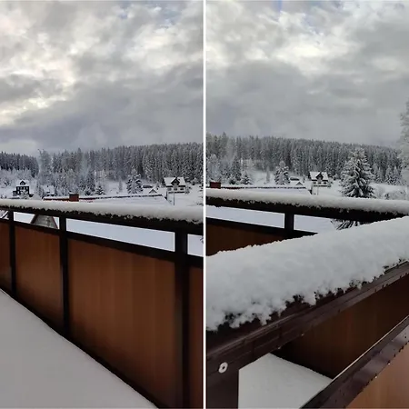 Fafewo Mit Sternekomfort In Harz Apartament Tanne