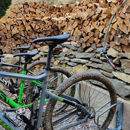 Fafewo Mit Sternekomfort In Harz Tanne