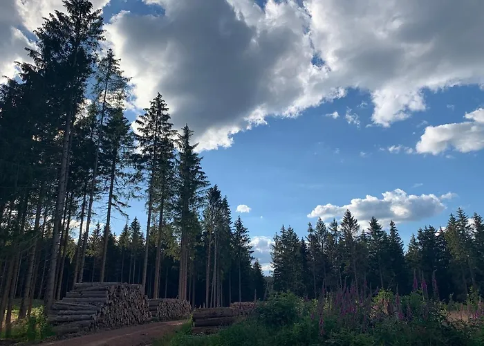 Fafewo Mit Sternekomfort In Harz
