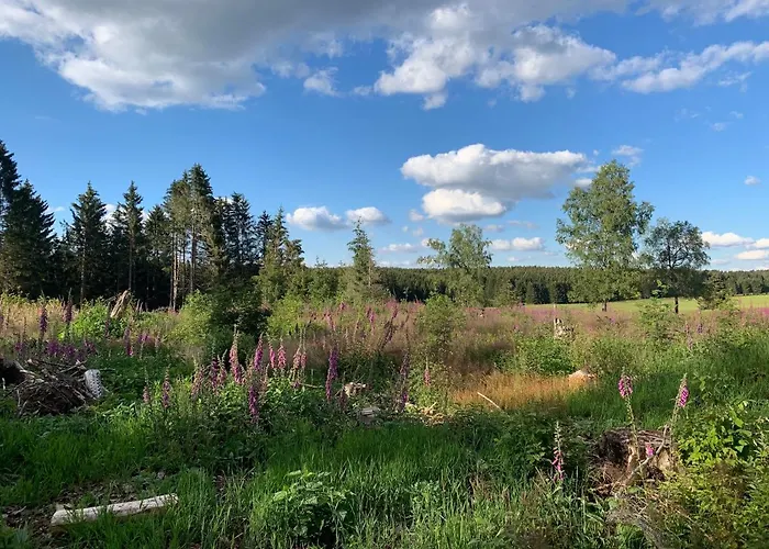 Fafewo Mit Sternekomfort In Harz Апартаменты *