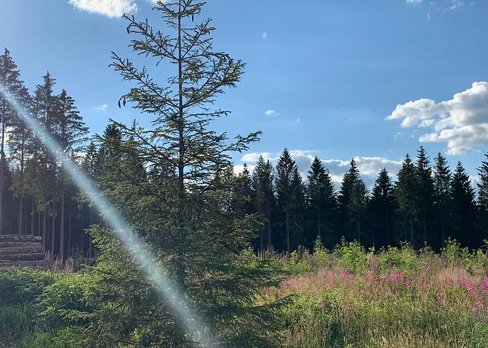 Fafewo Mit Sternekomfort In Harz شقة *