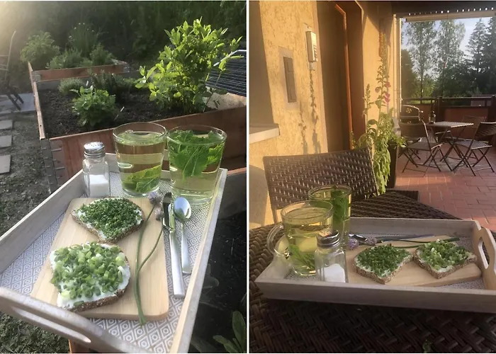 Fafewo Mit Sternekomfort In Harz *